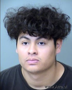 Brian  Garcia Najera Mugshot