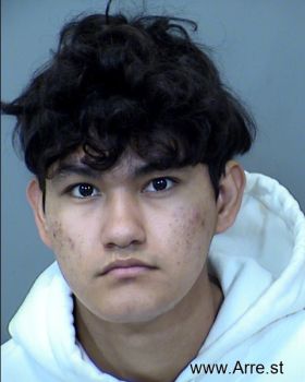 Brian Rafael Sanchez Mugshot