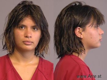 Briana Leticia Alvarez Mugshot