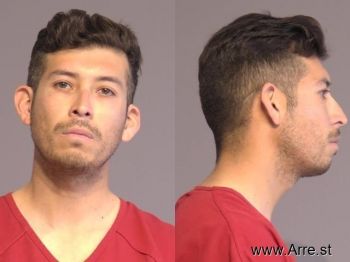 Bryan  Perez Mugshot