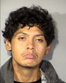 Burton Lee Leiato Mugshot