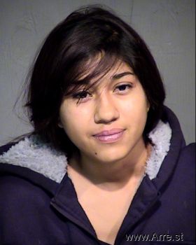 Christina Paula Torres Mendez Mugshot