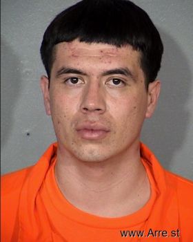 Carlos A Diaz-rocha Mugshot