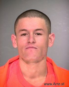 Carlos S Felix-ochoa Mugshot