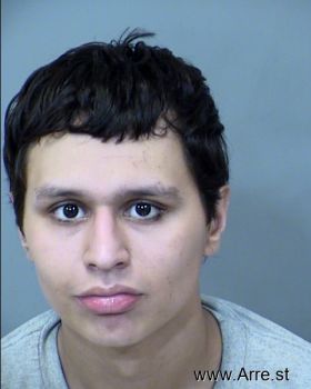 Carlos  Vega Hinojosa Mugshot