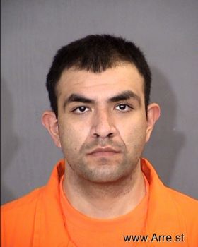 Carlos  Villegas Mugshot