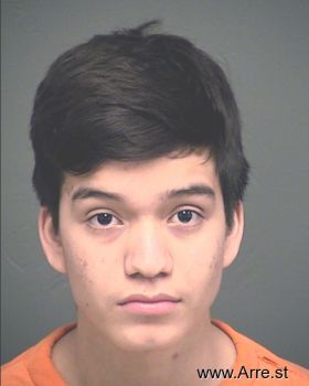 Cesar  Arce-cardenas Mugshot