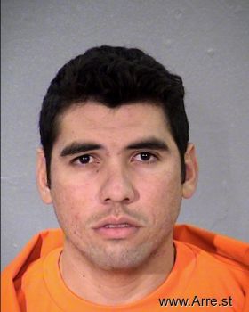 Cesar O Castillo-martinez Mugshot