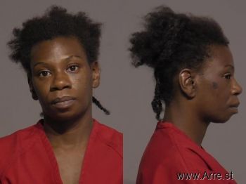 Cherie Ann Johnson Mugshot