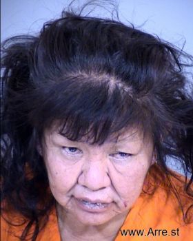 Cheryl Kay Harris Mugshot