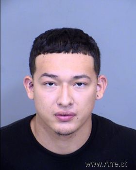 Christian Matthew Flores Mugshot