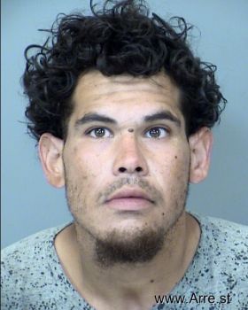 Christian G Gonzalez Villa Mugshot