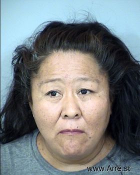 Christine  Begay Mugshot