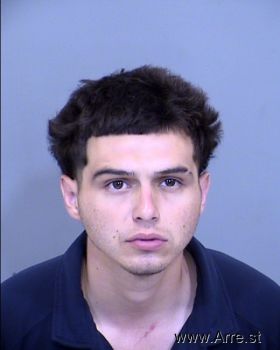 Christopher Michael Alvarado Mugshot