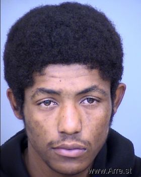 Christopher Dominique Ellison Mugshot