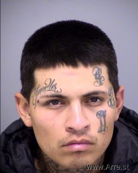 Christopher  Gutierrez Mugshot