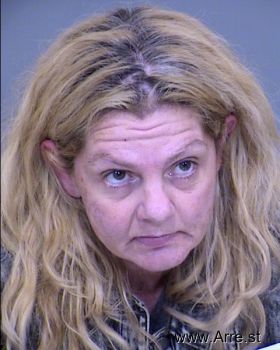 Christy Ann Hunter Mugshot