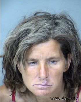 Cindy Lee Plont Mugshot