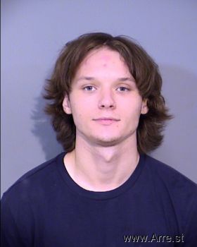 Cole Levi Williamson Mugshot