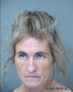 Crystal Lee Anderson Mugshot