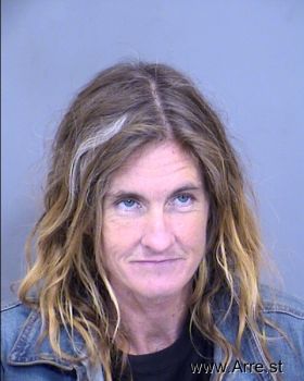 Crystal Lee Anderson Mugshot