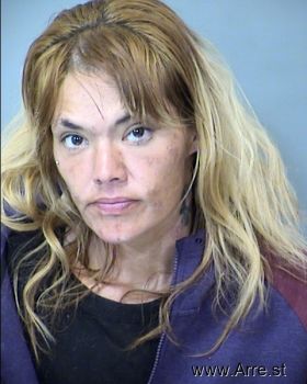 Crystal Marie Norris Mugshot