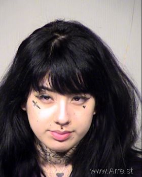 Crystal  Ramirez Mugshot