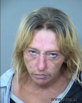 Crystal Ann Ryan Mugshot