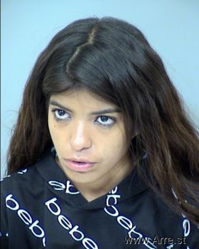 Cynthia  Ramirez Mugshot