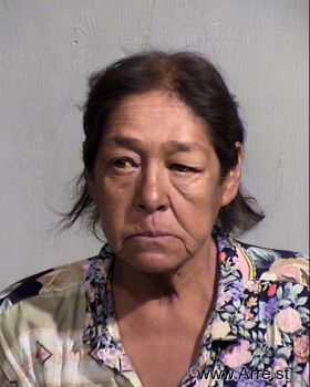 Darlene Faye Martinez Mugshot