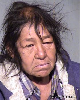 Darlene Faye Martinez Mugshot