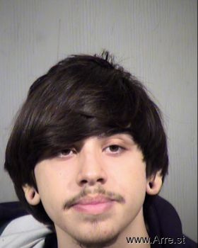 Diego  Sanchez Mugshot