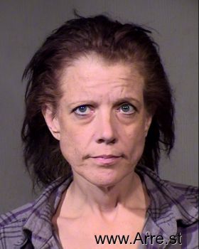 Donna  Hawk Mugshot