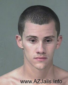 Dustin Michael Brown Mugshot