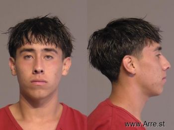 Damian Norton Martinez Mugshot