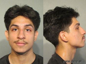 Damien Leinad Sanchez-ramirez Mugshot