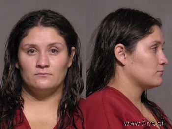 Dania  Velazquez Verdugo Mugshot