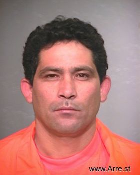 Daniel  Castillo-ortiz Mugshot