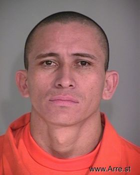 Daniel O Dominguez-cardena Mugshot