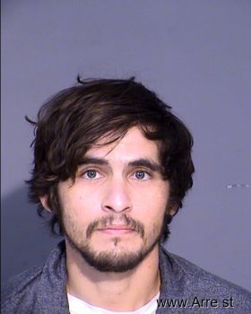 Daniel Ray Henry Mendoza Mugshot