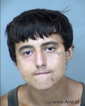 Daniel Felipe Torres Mugshot