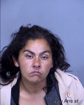 Daniela Toni Torres Mugshot