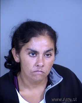 Daniela Toni Torres Mugshot