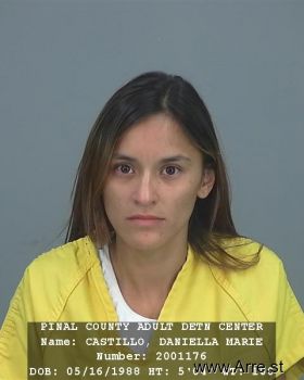 Daniella  Castillo Mugshot