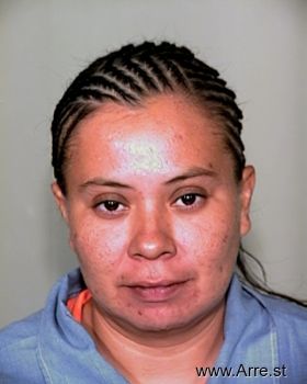 Danielle E Sanchez Mugshot