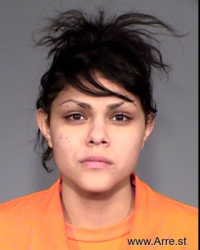 Danielle C Sanchez Mugshot