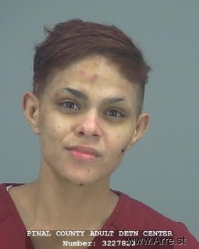 Danielle  Sanchez Mugshot