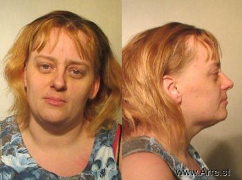 Danielle Christine Sheffield Mugshot