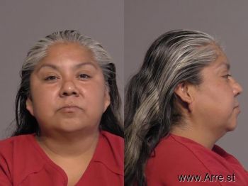 Danita Renee Nichols Mugshot