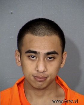 Darian  Nguyen Mugshot